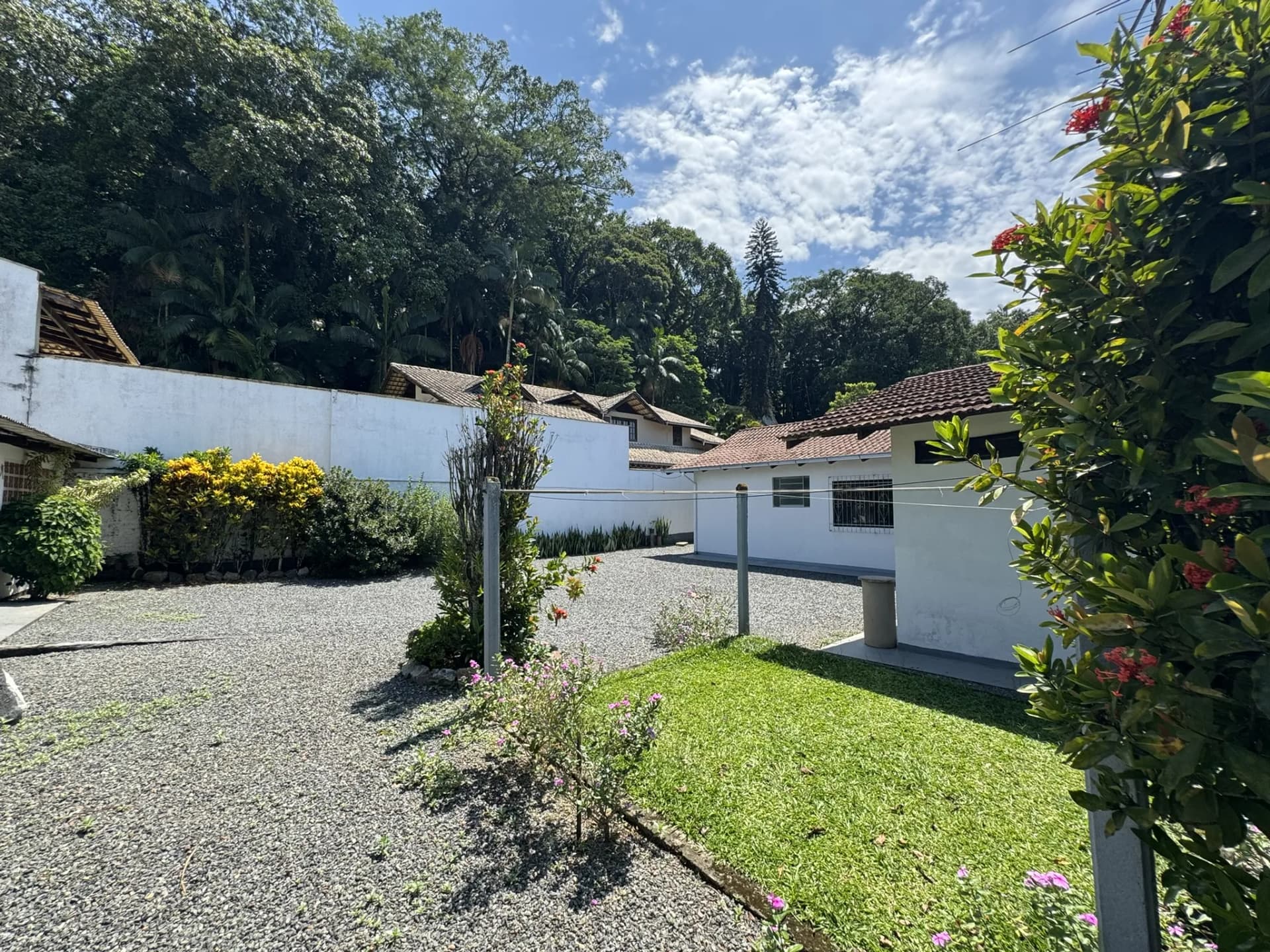 Jardim amplo com gramado